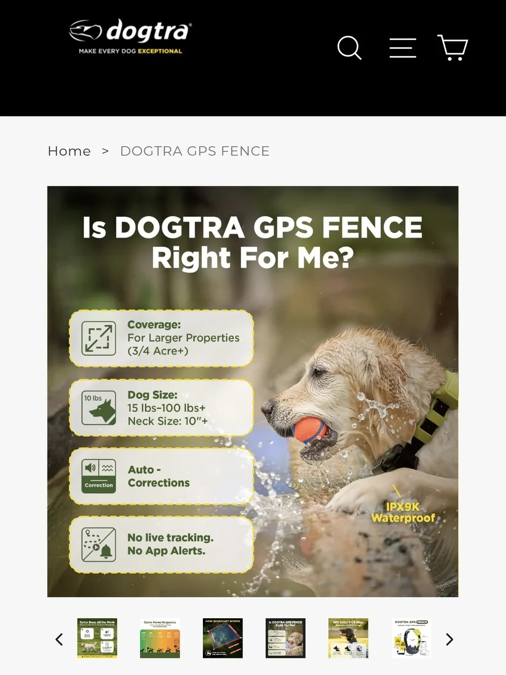GPS Fence Dog Collar - Yellow